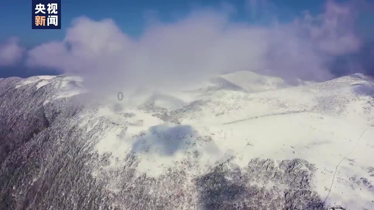 大堡礁的海洋生态:科学视角下的美丽奇迹