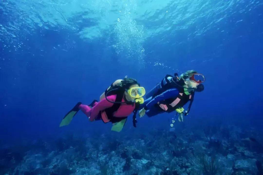逃离马儿森林