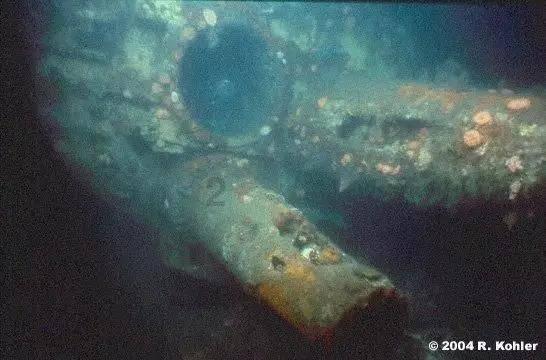 八字知识之论八字五行的流通和平衡